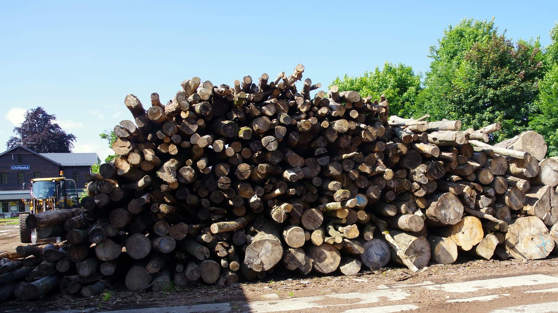 vor der Verarbeitung